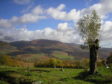 La Begude D'Amalthee Villa Vernay Buitenkant foto